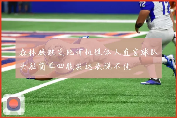 森林狼缺乏纪律性媒体人直言球队头脑简单四肢发达表现不佳