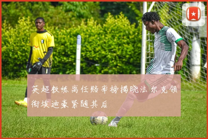 英超教练离任赔率榜揭晓法尔克领衔埃迪豪紧随其后