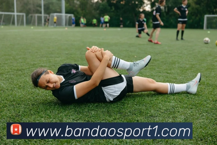 App Interface Preview