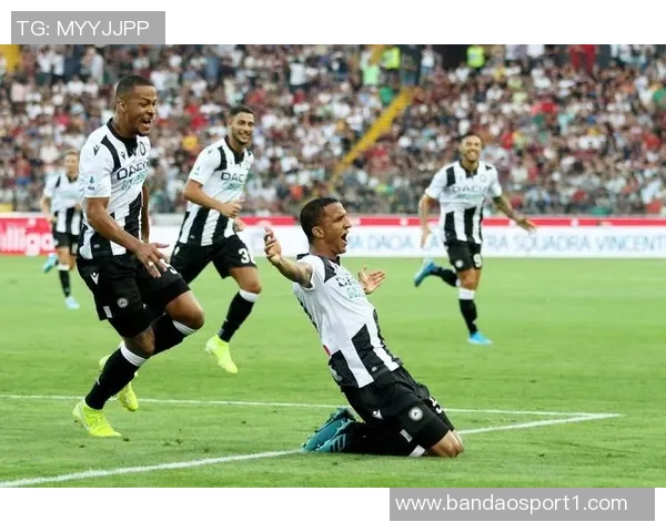 乌迪内斯成功截胡米兰以300万欧引进阿里萨拉达成协议